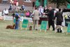 Houndshow2011_26