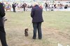 Houndshow2011_16