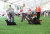 eastofengland2011_59