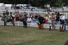 Houndshow2011_19