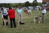 Houndshow2011_5