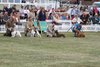 Houndshow2011_25