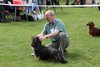 longhaireddachshundopen2011_14