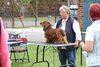 longhaireddachshundopen2011_27