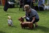 longhaireddachshundopen2011_4