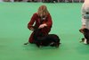 crufts2012_57