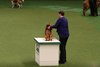 crufts2012_136