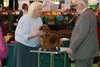 crufts2012_68