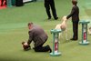 crufts2012_155