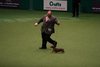 crufts2012_148