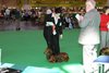 crufts2012_18