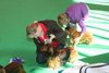 crufts2012_21