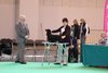 crufts2012_75
