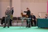 crufts2012_77