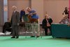 crufts2012_71