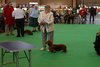 crufts2012_58