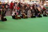 crufts2012_101