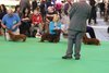 crufts2012_45