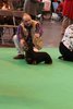 crufts2012_100