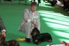 crufts2012_39