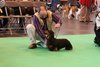 crufts2012_99