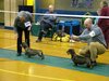 dcw2012_33