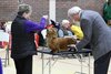 southerndachshund2012_97