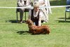 southerndachopen_17