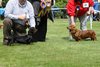 southerndachopen_4