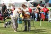 houndshow2012a_300