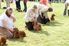 houndshow2012a_377