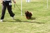 houndshow2012a_267