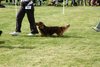 houndshow2012a_278