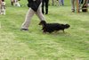 houndshow2012a_260