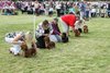 houndshow2012a_327