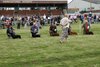 houndshow2012a_237