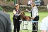 houndshow2012a_79