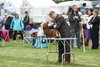 houndshow2012a_215