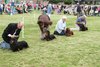 houndshow2012a_239