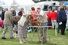 houndshow2012a_221