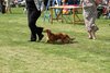 houndshow2012a_367