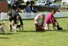 houndshow2012a_190