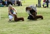 houndshow2012a_343