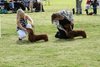 houndshow2012a_343