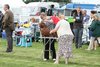 houndshow2012a_229