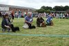 houndshow2012a_213