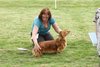 houndshow2012a_412