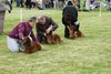 houndshow2012a_274