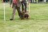 houndshow2012a_217