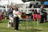 houndshow2012a_247